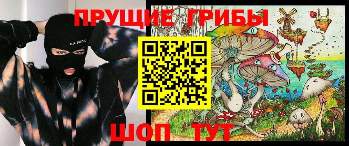 Гулькевичи  Псилоцибиновые грибы MAGIC MUSHROOMS  закладки  Вход с VPN  Псилоцибиновые грибы прущие грибы 